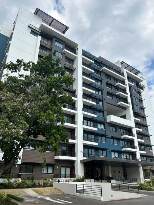 קינגסטון Royalty Suites מראה חיצוני תמונה